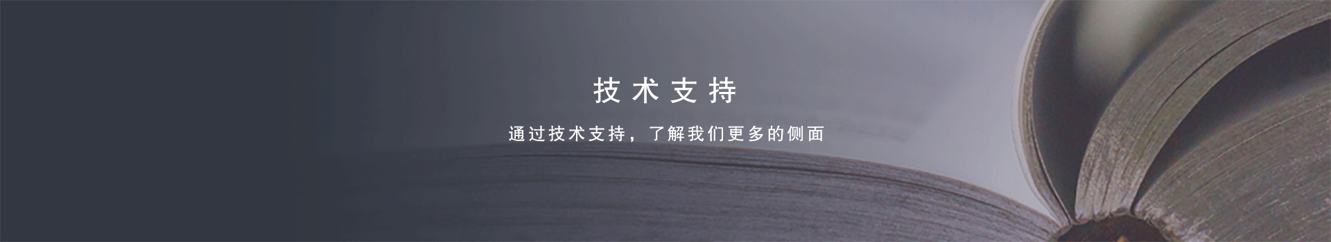技术支持